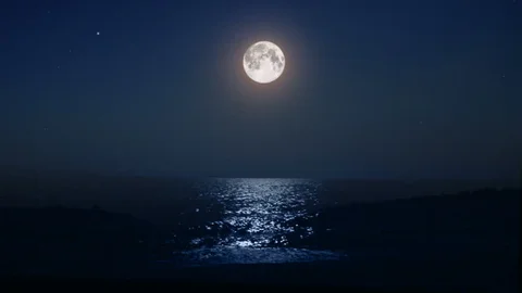 <span>爱液视频中文网</span> · 关于我们