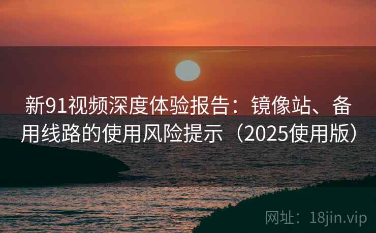 新91视频深度体验报告：镜像站、备用线路的使用风险提示（2025使用版）