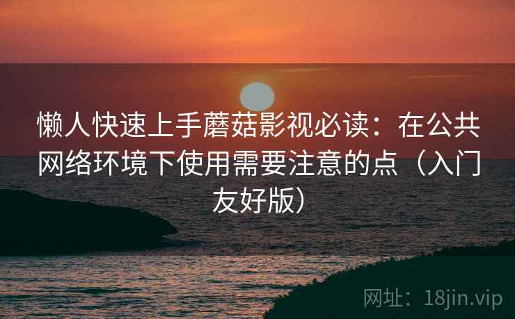 懒人快速上手蘑菇影视必读：在公共网络环境下使用需要注意的点（入门友好版）