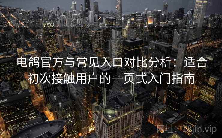 电鸽官方与常见入口对比分析：适合初次接触用户的一页式入门指南