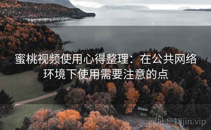 蜜桃视频使用心得整理：在公共网络环境下使用需要注意的点