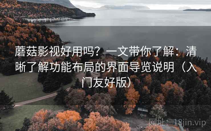 蘑菇影视好用吗？一文带你了解：清晰了解功能布局的界面导览说明（入门友好版）