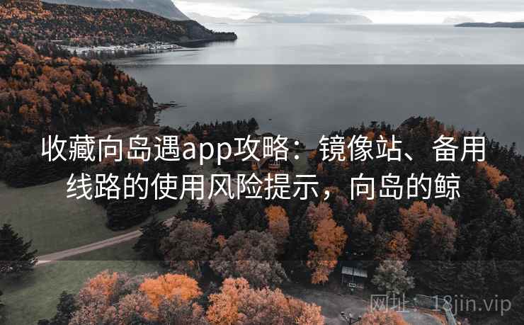 收藏向岛遇app攻略：镜像站、备用线路的使用风险提示，向岛的鲸