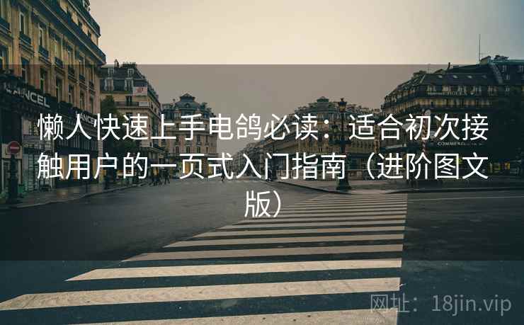 懒人快速上手电鸽必读：适合初次接触用户的一页式入门指南（进阶图文版）