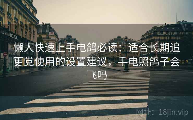 懒人快速上手电鸽必读：适合长期追更党使用的设置建议，手电照鸽子会飞吗